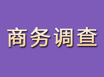 北屯镇商务调查